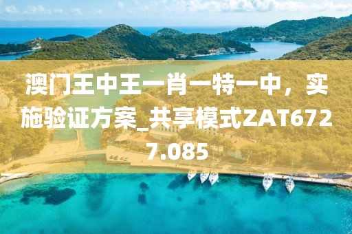 澳門王中王一肖一特一中，實(shí)施驗(yàn)證方案_共享模式ZAT6727.085