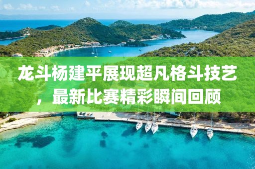 龍斗楊建平展現(xiàn)超凡格斗技藝，最新比賽精彩瞬間回顧