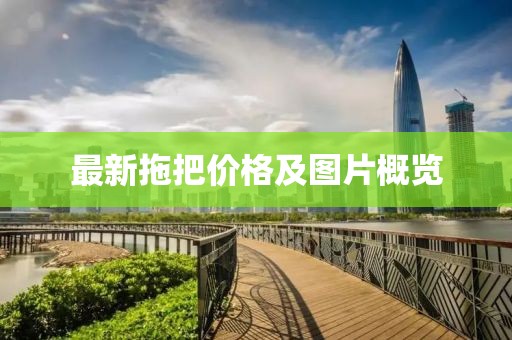 最新拖把價(jià)格及圖片概覽
