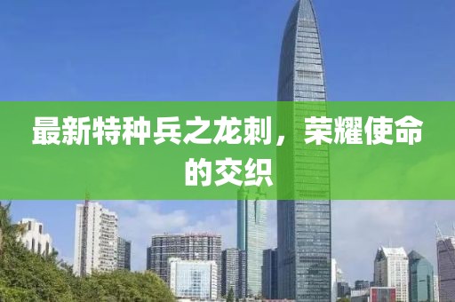 最新特種兵之龍刺，榮耀使命的交織
