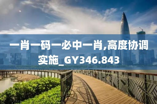 一肖一碼一必中一肖,高度協(xié)調(diào)實施_GY346.843