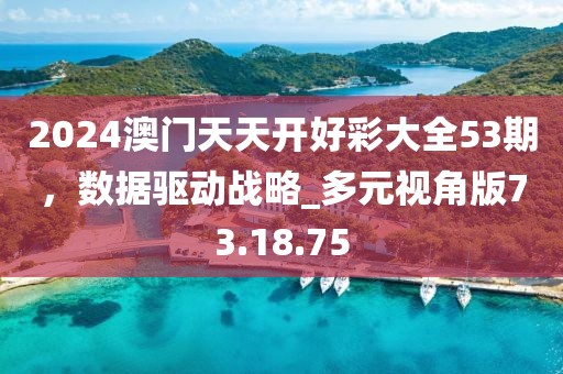 2024澳門天天開好彩大全53期，數據驅動戰(zhàn)略_多元視角版73.18.75