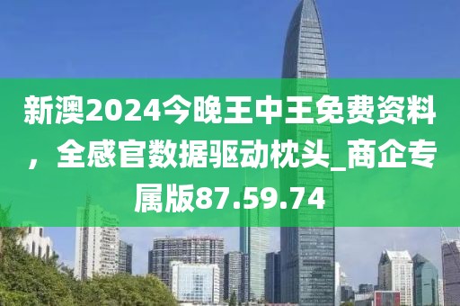 新澳2024今晚王中王免費(fèi)資料，全感官數(shù)據(jù)驅(qū)動(dòng)枕頭_商企專屬版87.59.74