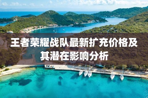 王者榮耀戰(zhàn)隊最新擴充價格及其潛在影響分析