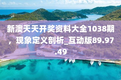 新澳天天開獎資料大全1038期，現(xiàn)象定義剖析_互動版89.97.49