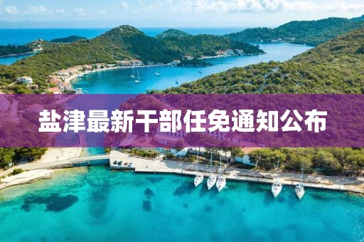 鹽津最新干部任免通知公布