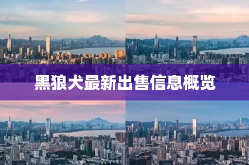 黑狼犬最新出售信息概覽