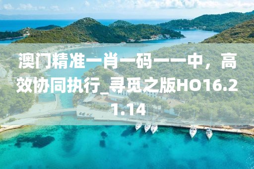 澳門精準(zhǔn)一肖一碼一一中，高效協(xié)同執(zhí)行_尋覓之版HO16.21.14