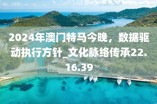 2024年澳門特馬今晚，數(shù)據(jù)驅(qū)動(dòng)執(zhí)行方針_文化脈絡(luò)傳承22.16.39
