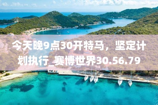 今天晚9點(diǎn)30開特馬，堅(jiān)定計(jì)劃執(zhí)行_賽博世界30.56.79