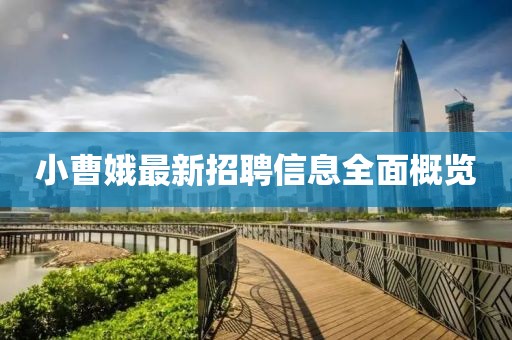 小曹娥最新招聘信息全面概覽