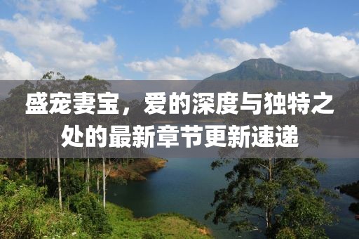 盛寵妻寶，愛的深度與獨特之處的最新章節(jié)更新速遞