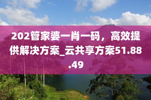 202管家婆一肖一碼，高效提供解決方案_云共享方案51.88.49