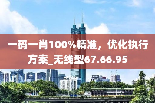 一碼一肖100%精準(zhǔn)，優(yōu)化執(zhí)行方案_無(wú)線型67.66.95