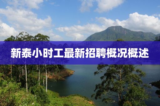 新泰小時工最新招聘概況概述