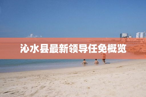 沁水縣最新領(lǐng)導(dǎo)任免概覽