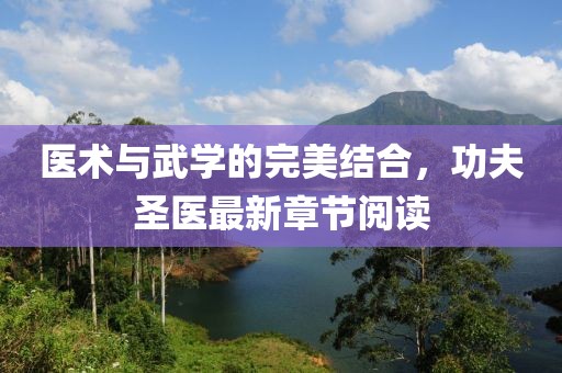 醫(yī)術(shù)與武學(xué)的完美結(jié)合，功夫圣醫(yī)最新章節(jié)閱讀