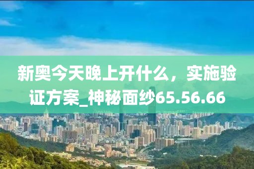 新奧今天晚上開(kāi)什么，實(shí)施驗(yàn)證方案_神秘面紗65.56.66