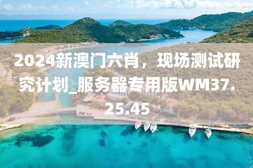 2024新澳門六肖，現(xiàn)場測試研究計劃_服務(wù)器專用版WM37.25.45