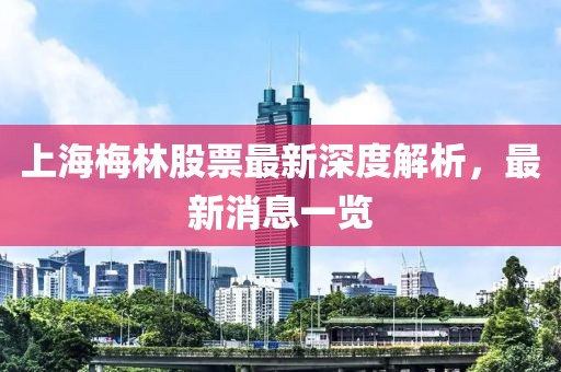 上海梅林股票最新深度解析，最新消息一覽