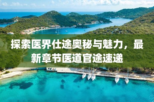 探索醫(yī)界仕途奧秘與魅力，最新章節(jié)醫(yī)道官途速遞