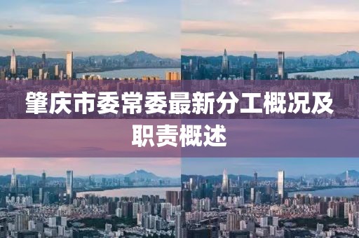 肇慶市委常委最新分工概況及職責(zé)概述
