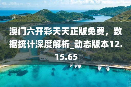 澳門六開彩天天正版免費(fèi)，數(shù)據(jù)統(tǒng)計(jì)深度解析_動態(tài)版本12.15.65