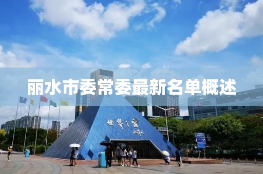 麗水市委常委最新名單概述
