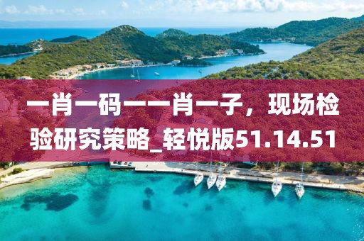 一肖一碼一一肖一子，現(xiàn)場檢驗(yàn)研究策略_輕悅版51.14.51