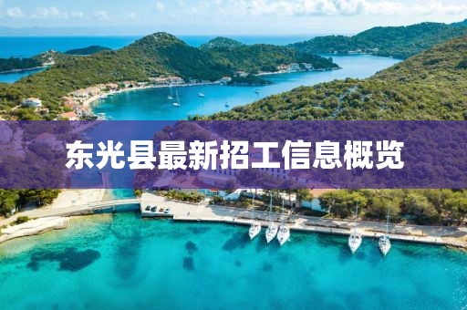 東光縣最新招工信息概覽