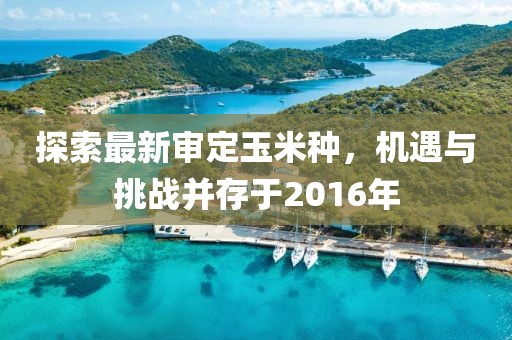 探索最新審定玉米種，機(jī)遇與挑戰(zhàn)并存于2016年