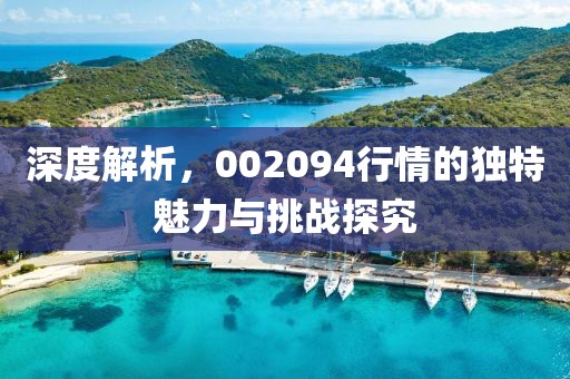 深度解析，002094行情的獨(dú)特魅力與挑戰(zhàn)探究
