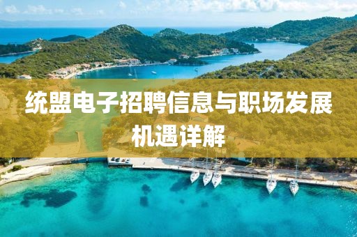 統(tǒng)盟電子招聘信息與職場(chǎng)發(fā)展機(jī)遇詳解