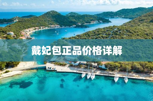 戴妃包正品價(jià)格詳解