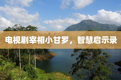 電視劇宰相小甘羅，智慧啟示錄