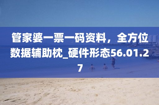 管家婆一票一碼資料，全方位數(shù)據(jù)輔助枕_硬件形態(tài)56.01.27