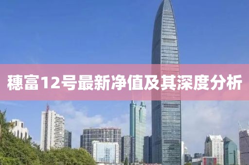 穗富12號(hào)最新凈值及其深度分析