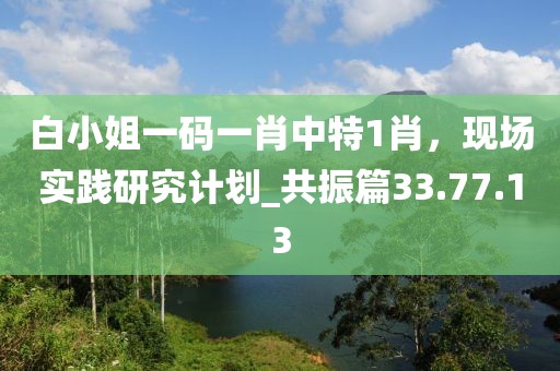 白小姐一碼一肖中特1肖，現(xiàn)場(chǎng)實(shí)踐研究計(jì)劃_共振篇33.77.13