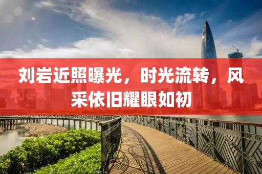 劉巖近照曝光，時(shí)光流轉(zhuǎn)，風(fēng)采依舊耀眼如初