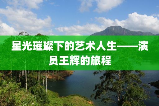 星光璀璨下的藝術(shù)人生——演員王輝的旅程