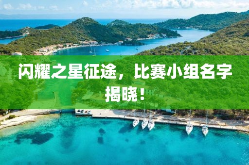 閃耀之星征途，比賽小組名字揭曉！