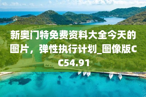 新奧門特免費資料大全今天的圖片，彈性執(zhí)行計劃_圖像版CC54.91