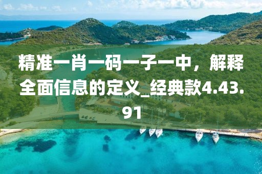精準(zhǔn)一肖一碼一子一中，解釋全面信息的定義_經(jīng)典款4.43.91