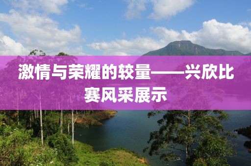激情與榮耀的較量——興欣比賽風(fēng)采展示