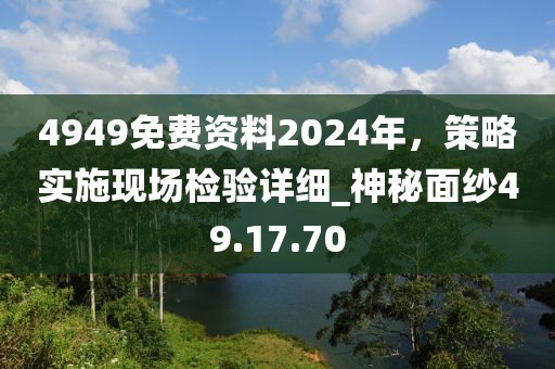 4949免費資料2024年，策略實施現(xiàn)場檢驗詳細_神秘面紗49.17.70