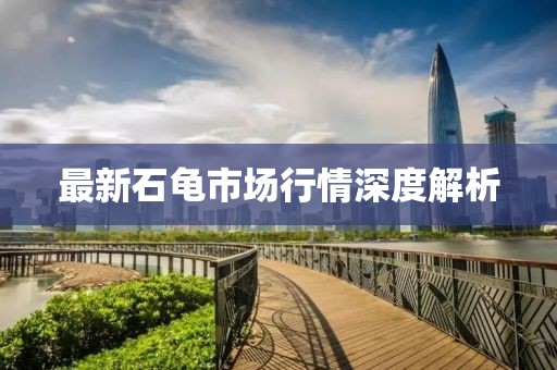 最新石龜市場(chǎng)行情深度解析