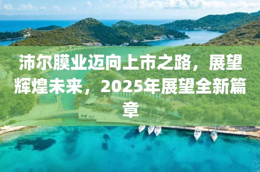 沛爾膜業(yè)邁向上市之路，展望輝煌未來，2025年展望全新篇章