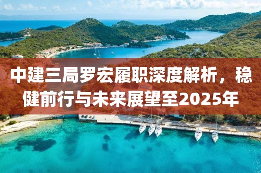 中建三局羅宏履職深度解析，穩(wěn)健前行與未來展望至2025年