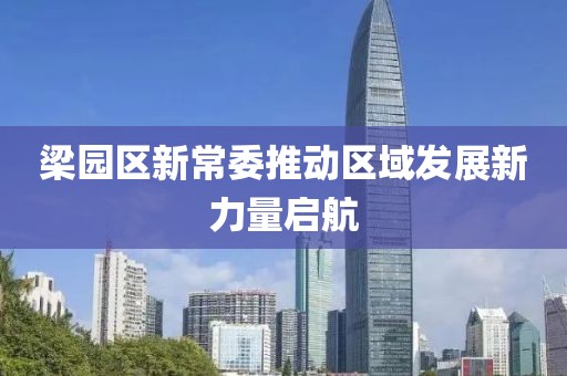 梁園區(qū)新常委推動(dòng)區(qū)域發(fā)展新力量啟航