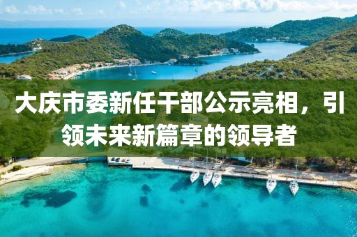 大慶市委新任干部公示亮相，引領(lǐng)未來新篇章的領(lǐng)導(dǎo)者